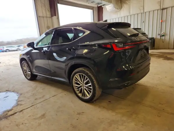 2T2HKCEZ5RC026159 2024 LEXUS NX - Image 2