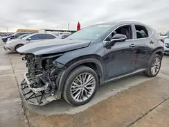 2T2HKCEZ7PC014561 2023 LEXUS NX