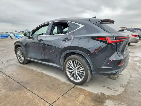 2T2HKCEZ7PC014561 2023 LEXUS NX - Image 2