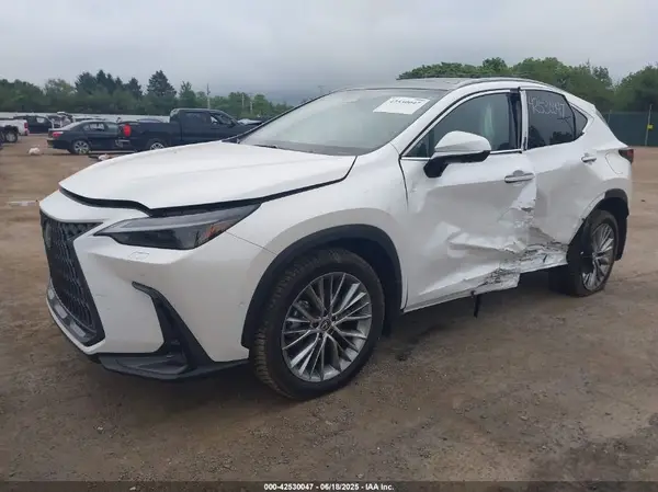 2T2HKCEZ7RC022209 2024 LEXUS NX - Image 2
