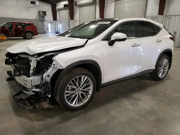 2T2HKCEZ8RC018377 2024 LEXUS NX - Image 1