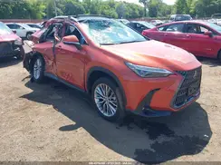 2T2HKCEZ9PC013430 2023 LEXUS NX