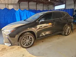 2T2HKCEZ9RC027282 2024 LEXUS NX