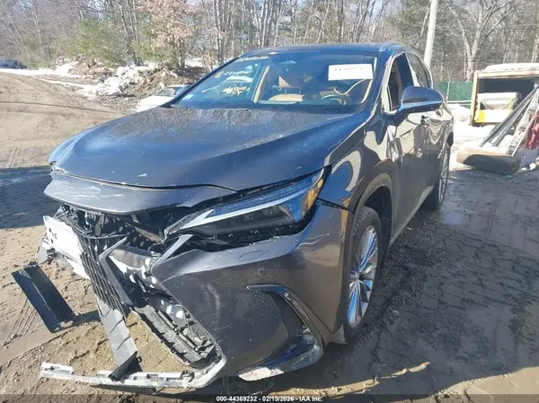 2T2HKCEZ9RC031042 2024 LEXUS NX - Image 2