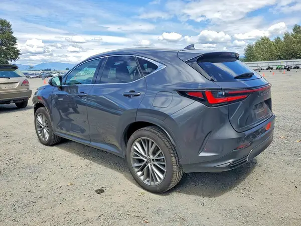 2T2HKCEZXRC024598 2024 LEXUS NX - Image 2