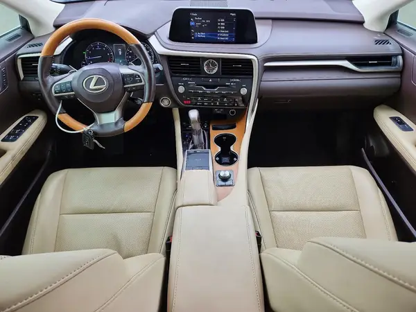 2T2HZMAA5LC164891 2020 LEXUS RX - Image 8