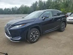 2T2HZMDA0MC260943 2021 LEXUS RX