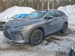 2T2JGMDA4LC055437 2020 LEXUS RX