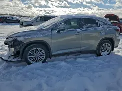 2T2JZMDAXLC243230 2020 LEXUS RX