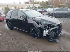 2T2KGCEZXPC025030 2023 LEXUS NX