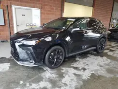 2T2KGCEZXRC046592 2024 LEXUS NX