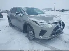 2T2YZMDA5LC212479 2020 LEXUS RX