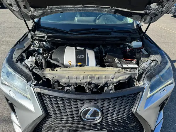 2T2ZZMCA4GC025066 2016 LEXUS RX - Image 8