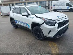 2T34WRFV0RW206600 2024 TOYOTA RAV 4