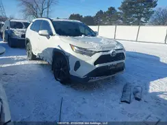 2T34WRFV0RW223042 2024 TOYOTA RAV 4