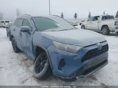 2T34WRFV1SW252085 2025 TOYOTA RAV 4