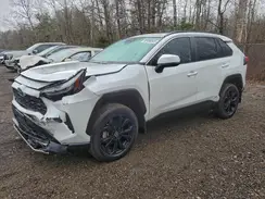 2T34WRFV3PW177929 2023 TOYOTA RAV 4