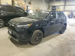 2T34WRFV6PW165421 2023 TOYOTA RAV 4