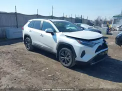 2T34WRFV6SW284613 2025 TOYOTA RAV 4