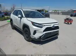 2T34WRFV7RW198611 2024 TOYOTA RAV 4