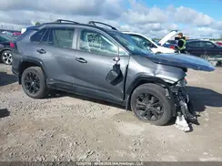2T34WRFV8PW172581 2023 TOYOTA RAV 4