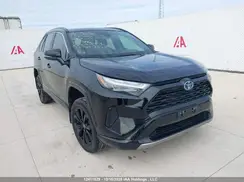 2T34WRFV8PW175111 2023 TOYOTA RAV 4