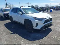 2T34WRFVXPW167379 2023 TOYOTA RAV 4