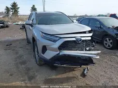 2T34WRFVXRW221167 2024 TOYOTA RAV 4