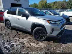 2T35WRFV0PW164740 2023 TOYOTA RAV 4