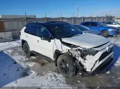 2T35WRFV0PW171462 2023 TOYOTA RAV 4