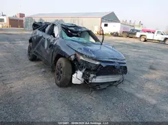 2T35WRFV0RW217634 2024 TOYOTA RAV 4