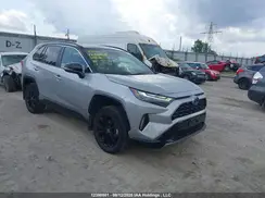 2T35WRFV1RW188774 2024 TOYOTA RAV 4