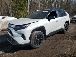 2T35WRFV1RW212636 2024 TOYOTA RAV 4