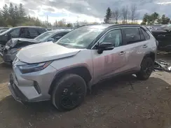 2T35WRFV1SW273975 2025 TOYOTA RAV 4