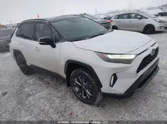 2T35WRFV2RW238842 2024 TOYOTA RAV 4