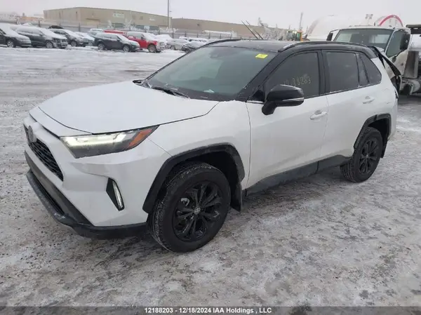 2T35WRFV2RW238842 2024 TOYOTA RAV 4 - Image 2