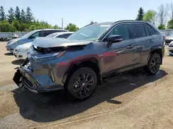 2T35WRFV4RW249180 2024 TOYOTA RAV 4