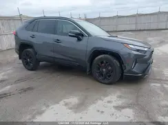 2T35WRFV6PW179887 2023 TOYOTA RAV 4