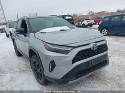 2T35WRFV6RW235040 2024 TOYOTA RAV 4