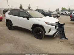 2T35WRFV6RW238035 2024 TOYOTA RAV 4