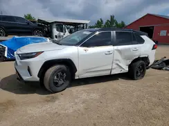 2T35WRFV8RW208518 2024 TOYOTA RAV 4