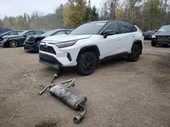 2T35WRFV8RW227800 2024 TOYOTA RAV 4