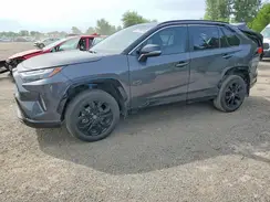 2T35WRFV8SW255442 2025 TOYOTA RAV 4