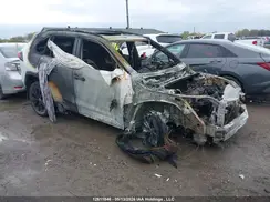 2T35WRFV9RW219172 2024 TOYOTA RAV 4