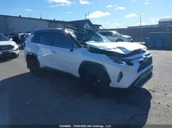 2T35WRFV9SW273870 2025 TOYOTA RAV 4