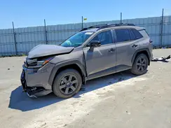 2T36CRAV6TW036405 2026 TOYOTA RAV 4