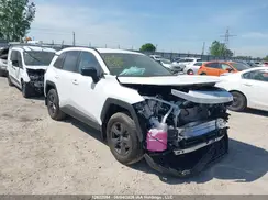 2T36CRAV8TW031920 2026 TOYOTA RAV 4