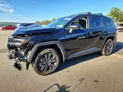 2T36CRAV8TW052539 2026 TOYOTA RAV 4