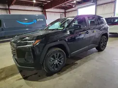 2T36CRAV9TC018823 2026 TOYOTA RAV 4