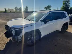 2T36CRAV9TW038682 2026 TOYOTA RAV 4